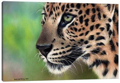 Leopard Canvas Art Print - Photorealism Art