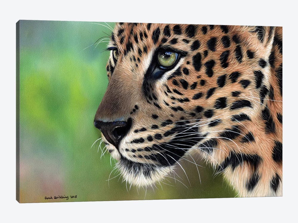 Leopard by Sarah Stribbling 1-piece Canvas Art