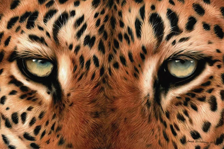 Leopard Eyes