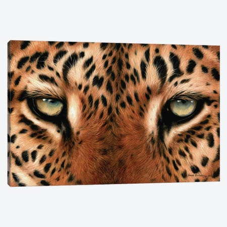 Leopard Eyes Canvas Print #SAS59} by Sarah Stribbling Canvas Wall Art