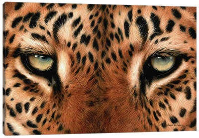 Leopard Eyes Canvas Art Print - Sarah Stribbling