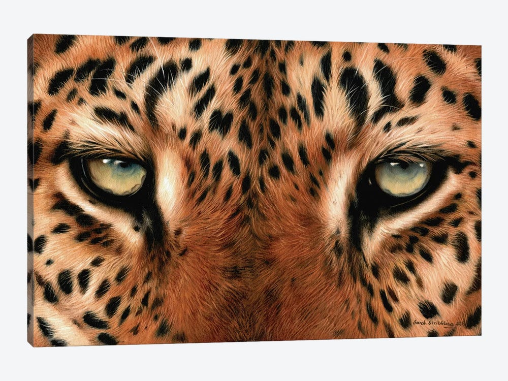 Leopard Eyes by Sarah Stribbling 1-piece Canvas Art Print