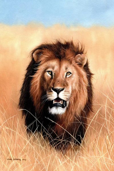 Fine Art Safari: African Lion III by Sarah Stribbling