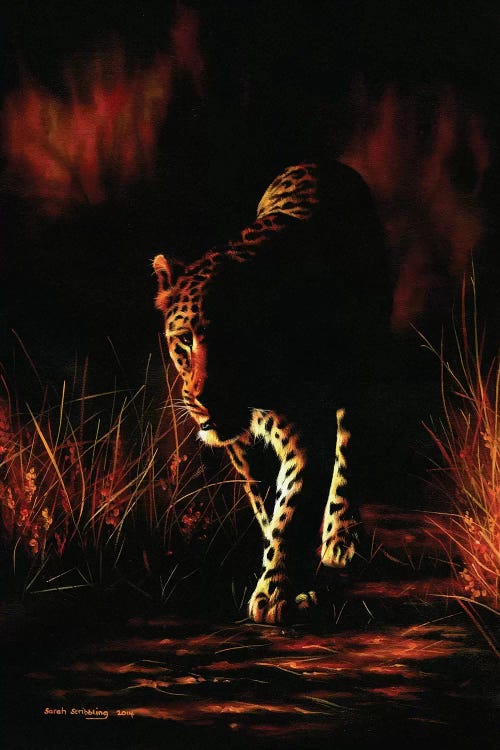 Leopard Walking