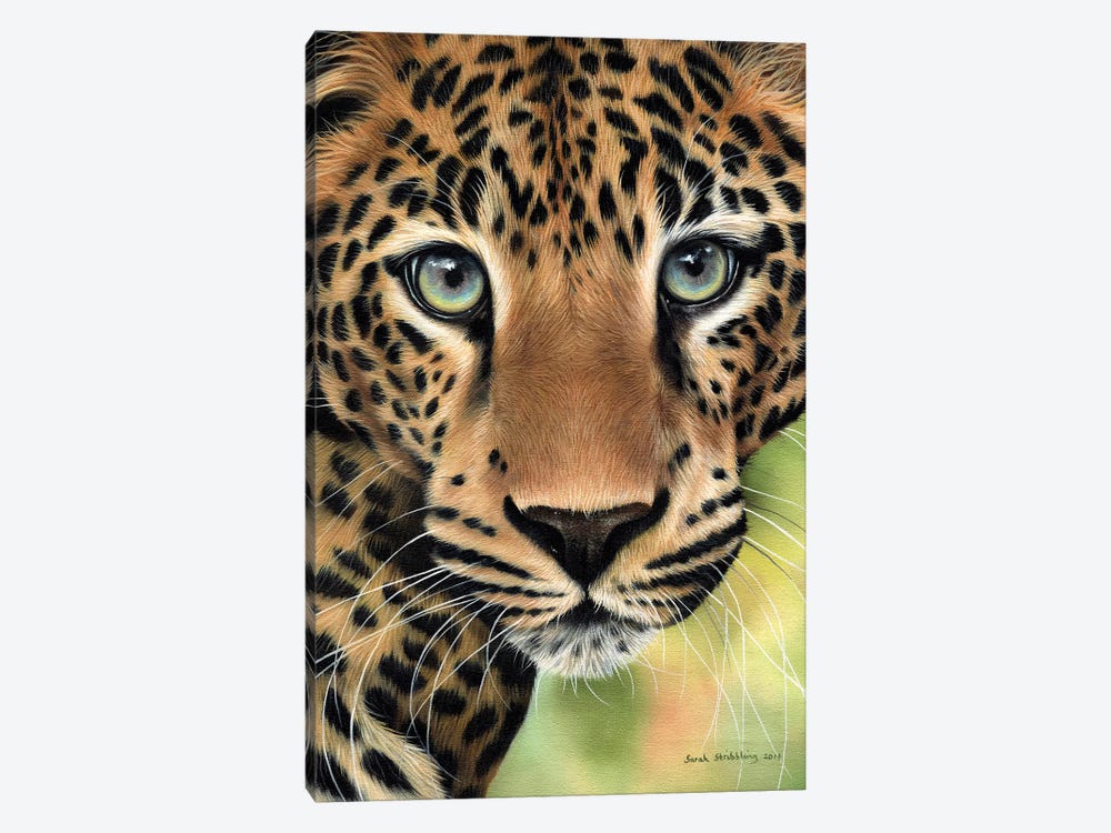 Leopard Close-Up by Sarah Stribbling 1-piece Canvas Art