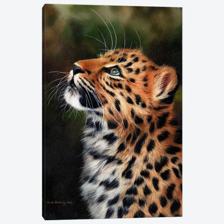 Leopard Cub Canvas Print #SAS62} by Sarah Stribbling Canvas Print