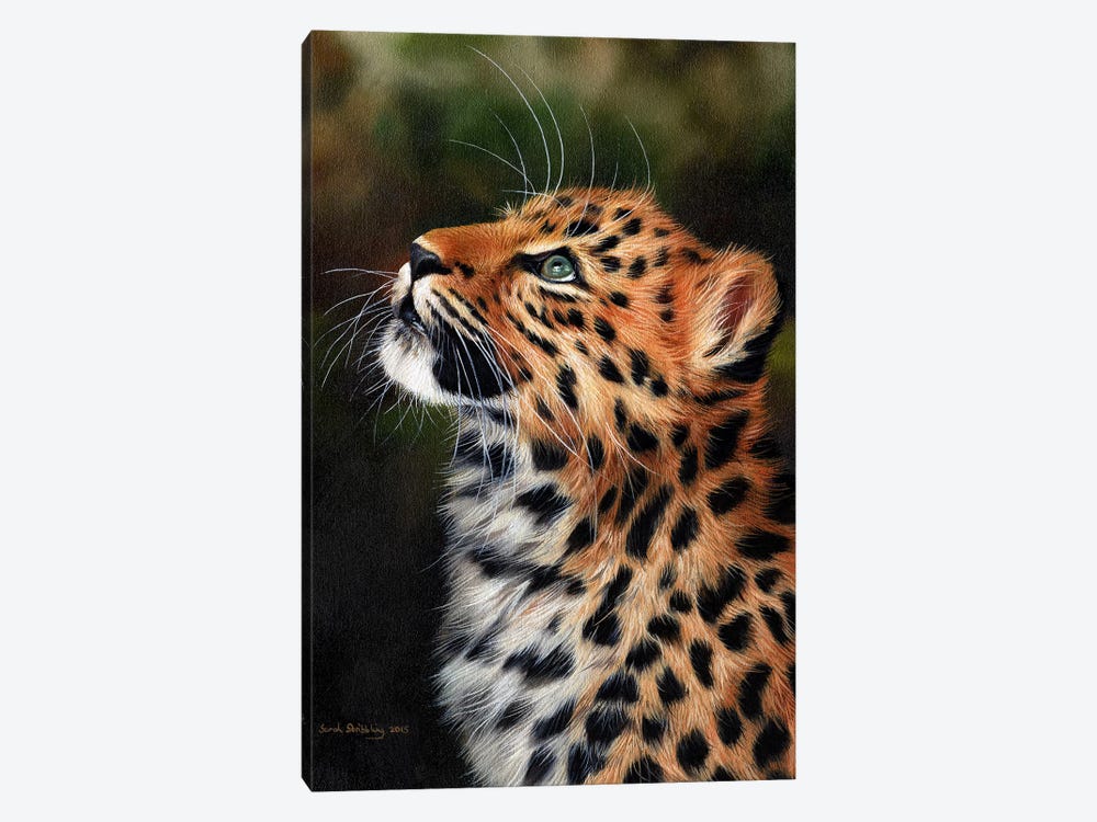 Leopard Cub by Sarah Stribbling 1-piece Art Print