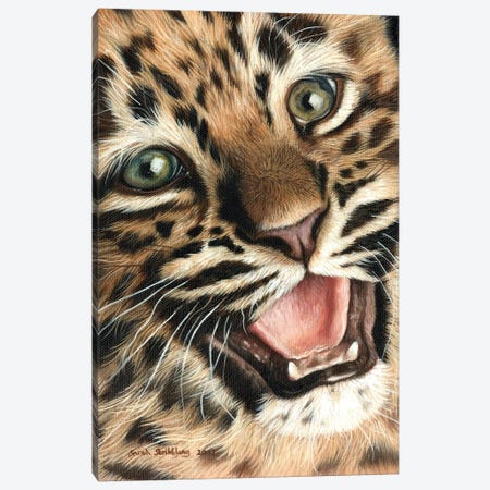 Leopard Cub I Canvas Print #SAS63} by Sarah Stribbling Canvas Print