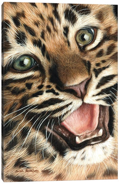 Leopard Cub I Canvas Art Print - Sarah Stribbling