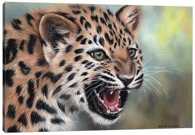 Leopard Cub II Canvas Art Print - Photorealism Art