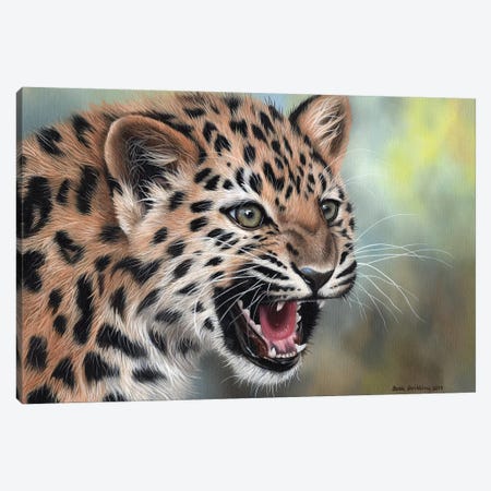 Leopard Cub II Canvas Print #SAS64} by Sarah Stribbling Canvas Artwork