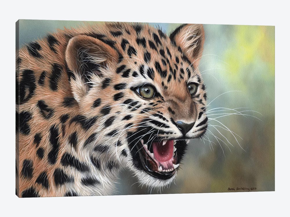 Leopard Cub II by Sarah Stribbling 1-piece Canvas Print