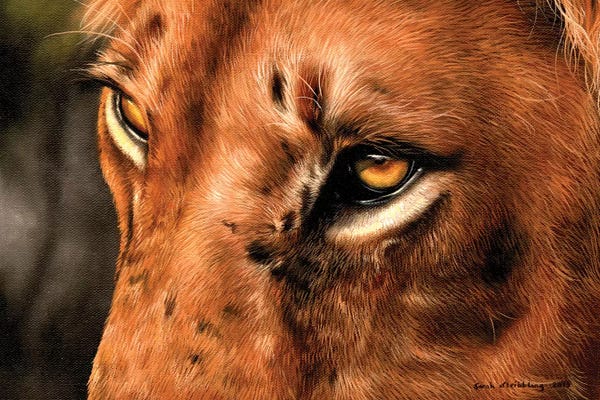 Lion Close-Up