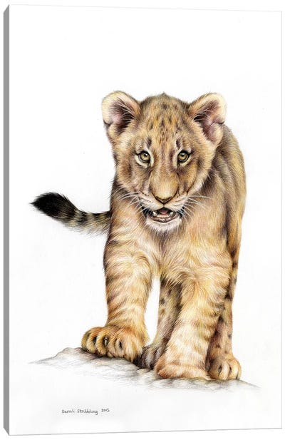 Lion Cub Canvas Art Print - Photorealism Art