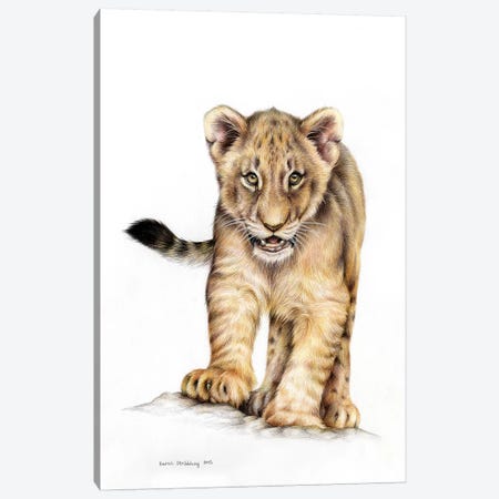Lion Cub Canvas Print #SAS66} by Sarah Stribbling Canvas Wall Art