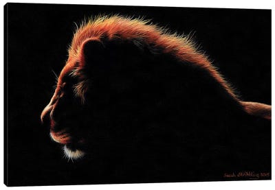 Lion Twilight I Canvas Art Print