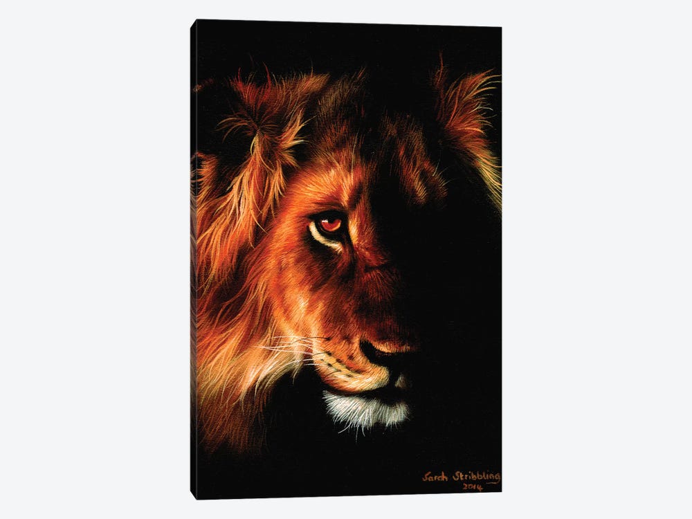 Lion Twilight II by Sarah Stribbling 1-piece Canvas Print