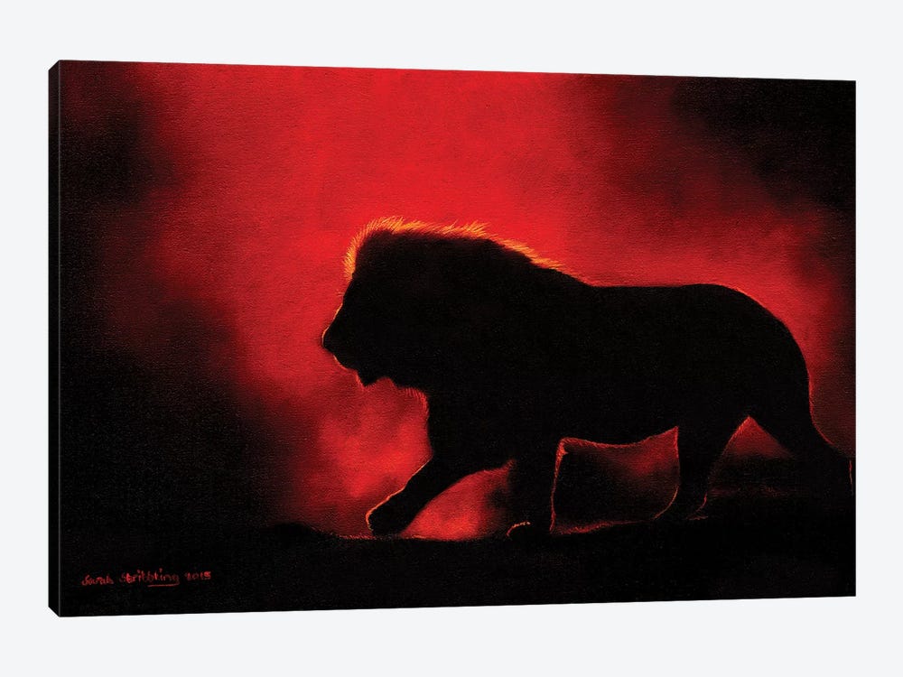 Lion Twilight III by Sarah Stribbling 1-piece Canvas Wall Art