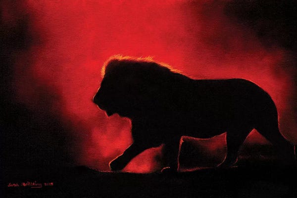 Lions: Lion Twilight III by Sarah Stribbling