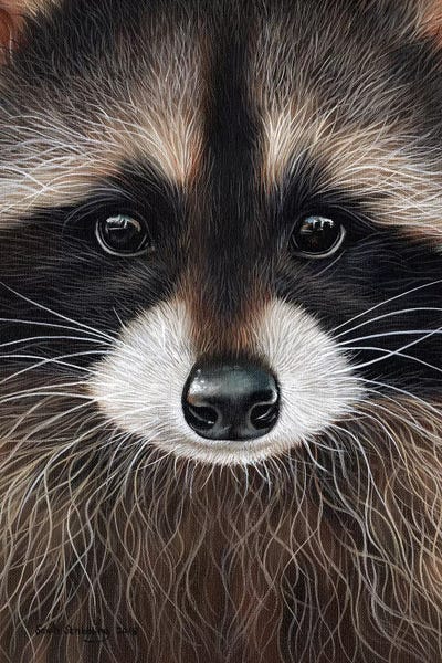Emotive Animals: Raccoon I by Sarah Stribbling