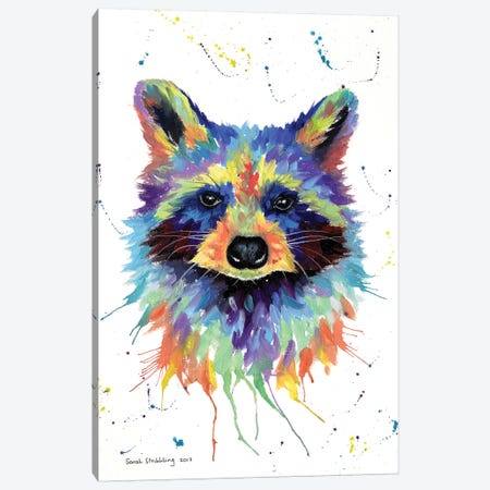 Raccoon II Canvas Print #SAS77} by Sarah Stribbling Canvas Art Print