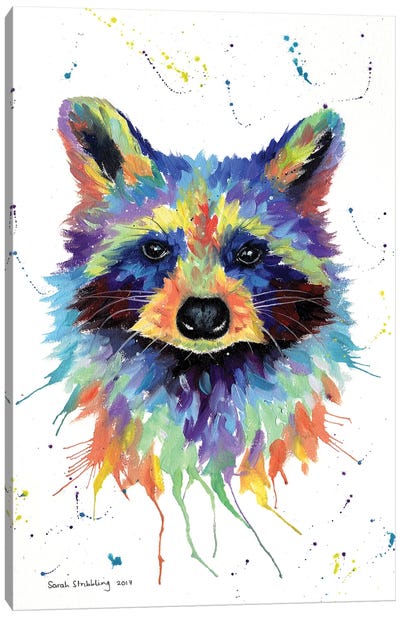 Raccoon II Canvas Art Print - Sarah Stribbling