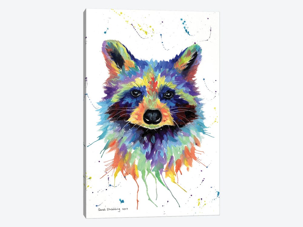 Raccoon II by Sarah Stribbling 1-piece Canvas Art Print