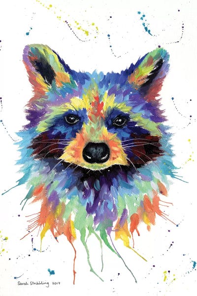 Raccoons: Raccoon II by Sarah Stribbling