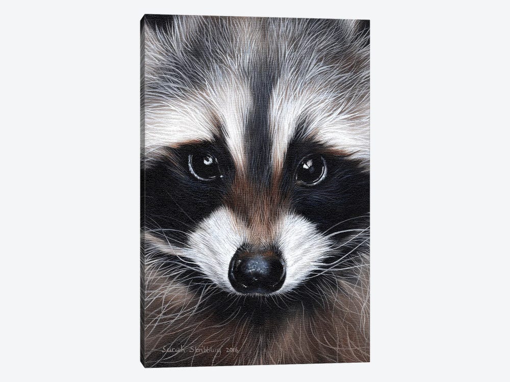 Raccoon IV by Sarah Stribbling 1-piece Art Print