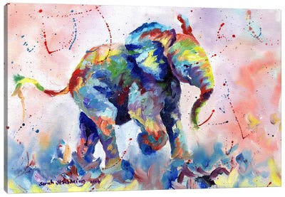 Baby Elephant Canvas Art Print - Sarah Stribbling