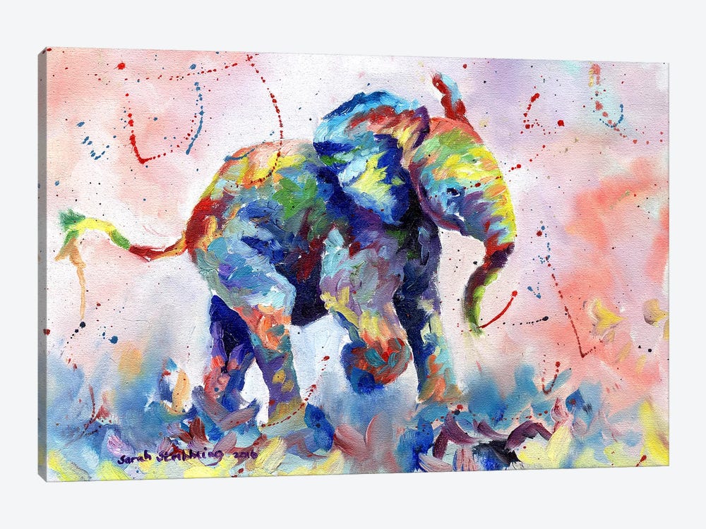 Baby Elephant by Sarah Stribbling 1-piece Canvas Art