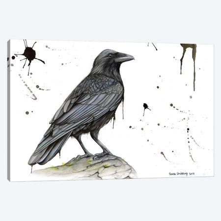 Raven On A Branch Canvas Print #SAS80} by Sarah Stribbling Canvas Print