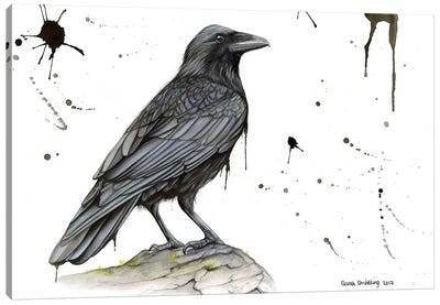 Raven On A Branch Canvas Art Print - Raven Art