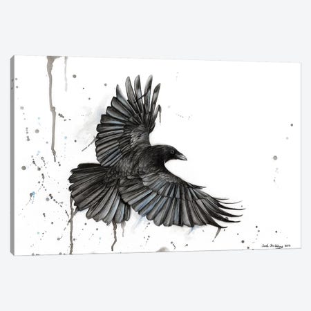 Raven Fly Canvas Print #SAS81} by Sarah Stribbling Canvas Print