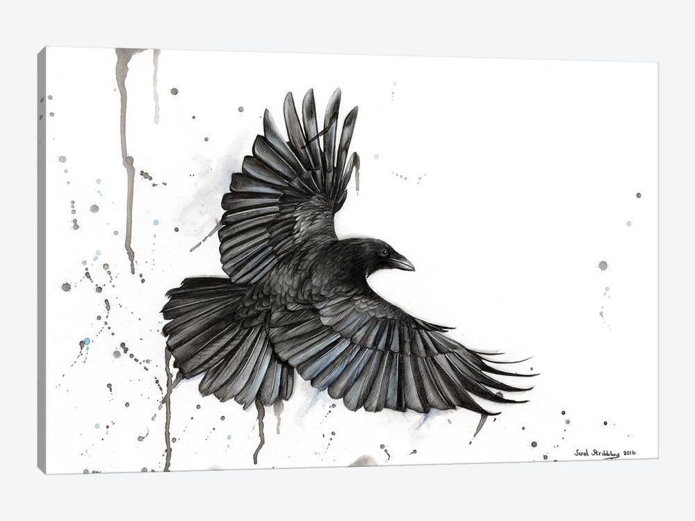 Raven Fly by Sarah Stribbling 1-piece Canvas Artwork