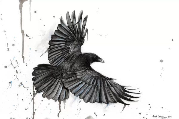Goth Art: Raven Fly by Sarah Stribbling