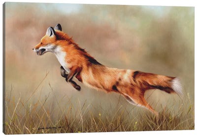 Red Fox Canvas Art Print - Photorealism Art