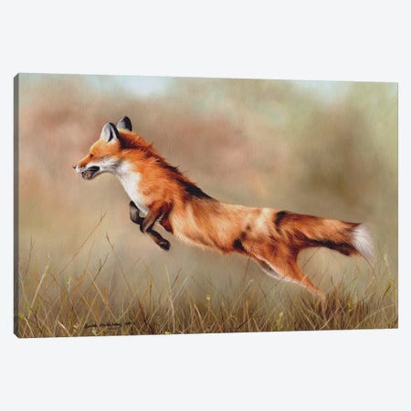Red Fox Canvas Print #SAS82} by Sarah Stribbling Canvas Art Print