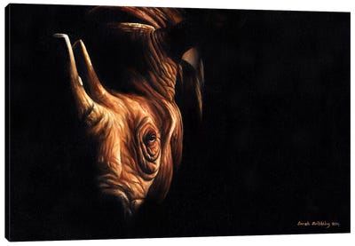 Rhino Twilight Canvas Art Print - Photorealism Art