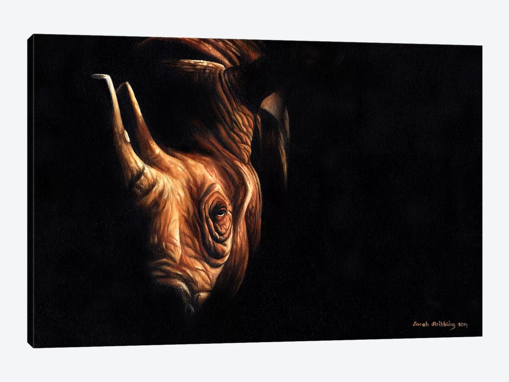 Rhino Twilight by Sarah Stribbling 1-piece Art Print