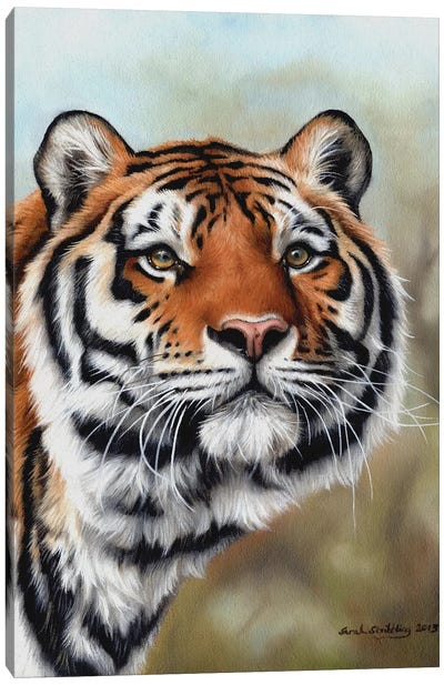 Siberian Tiger I Canvas Art Print - Photorealism Art