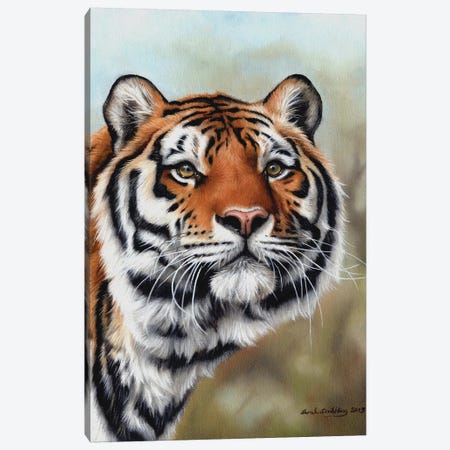 Siberian Tiger I Canvas Print #SAS85} by Sarah Stribbling Canvas Art