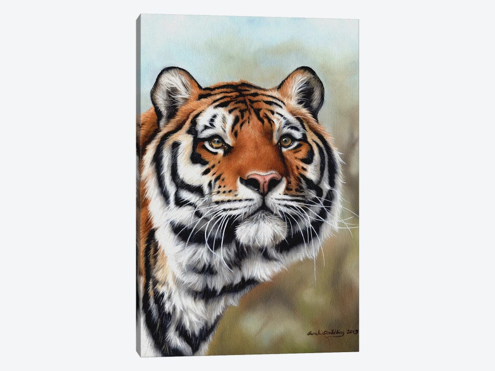 Siberian Tiger I by Sarah Stribbling 1-piece Canvas Artwork