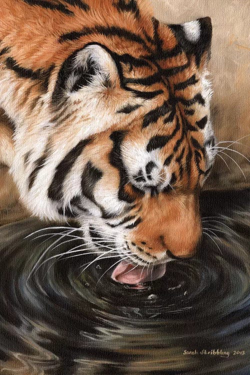 Siberian Tiger II