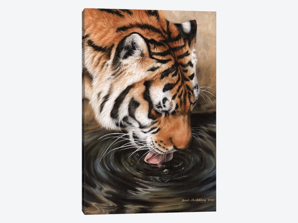 Siberian Tiger II by Sarah Stribbling 1-piece Art Print