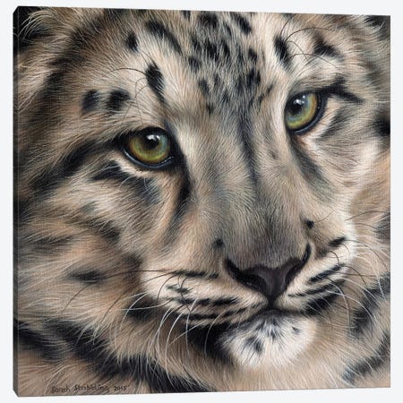 Snow Leopard II Canvas Print #SAS88} by Sarah Stribbling Canvas Art Print