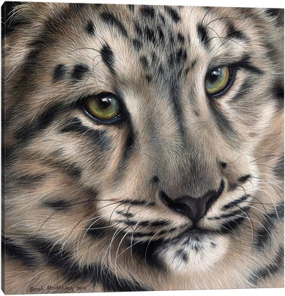 Snow Leopard II Canvas Art Print - Sarah Stribbling