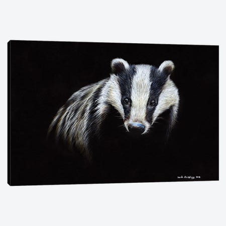 Badger Canvas Print #SAS8} by Sarah Stribbling Art Print