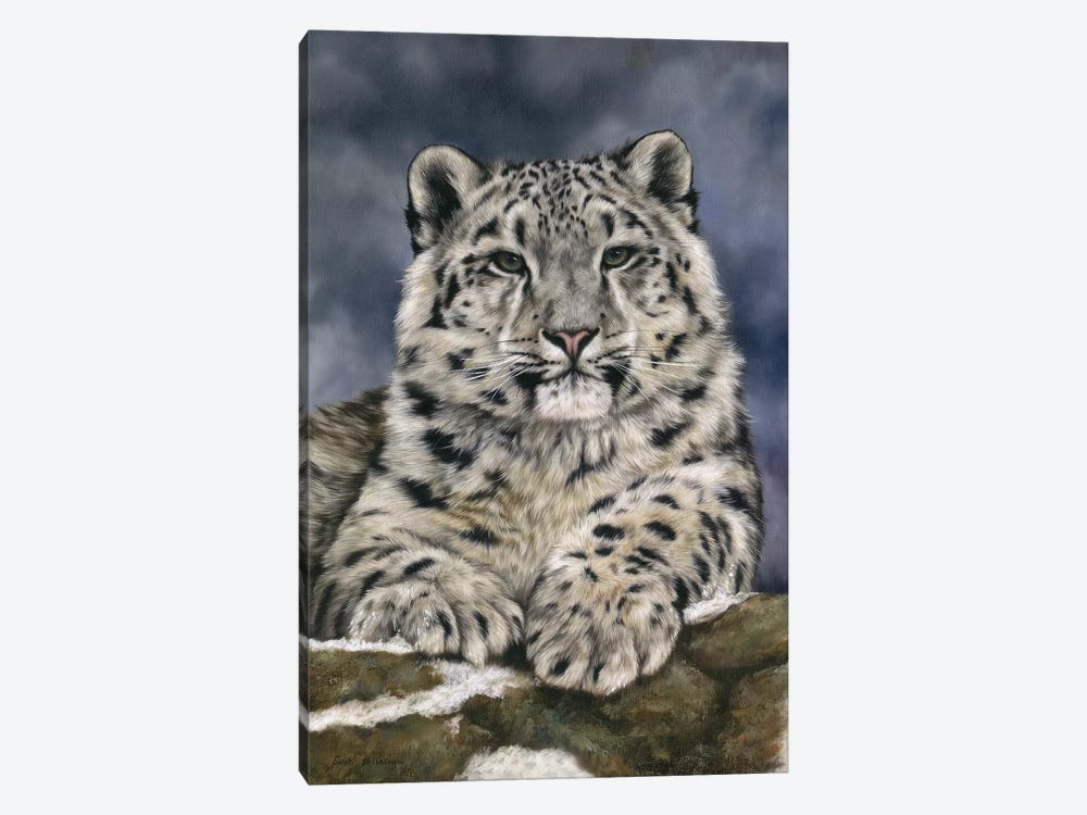 Snow Leopard III by Sarah Stribbling 1-piece Canvas Artwork