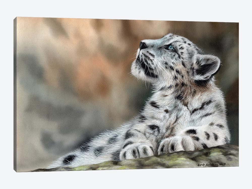 Snow Leopard Cub II by Sarah Stribbling 1-piece Art Print